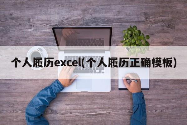 个人履历excel(个人履历正确模板)