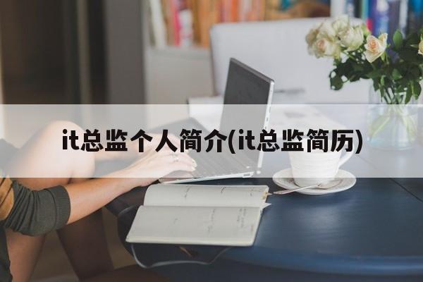 it总监个人简介(it总监简历)